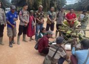 Warga Danau Buntar Pasang Tajau Adat, Konflik Lahan dengan PT UAI di Ketapang Kian Memanas