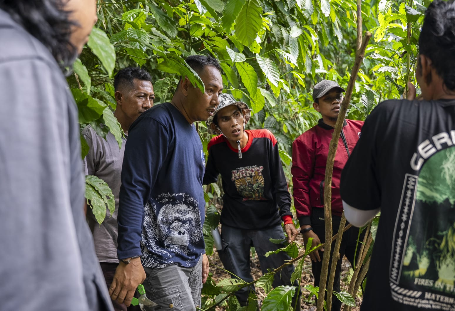 Supriadi bersama rekan-rekan pemuda Kuala tolak sedang berdiskusi di areal kebun kopi masyarakat
