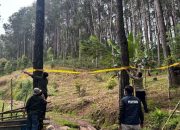 Ubah Hutan 1,3 Hektare untuk Peternakan ayam,Seorang Pengusaha di Bone Terancam 10 Tahun Penjara