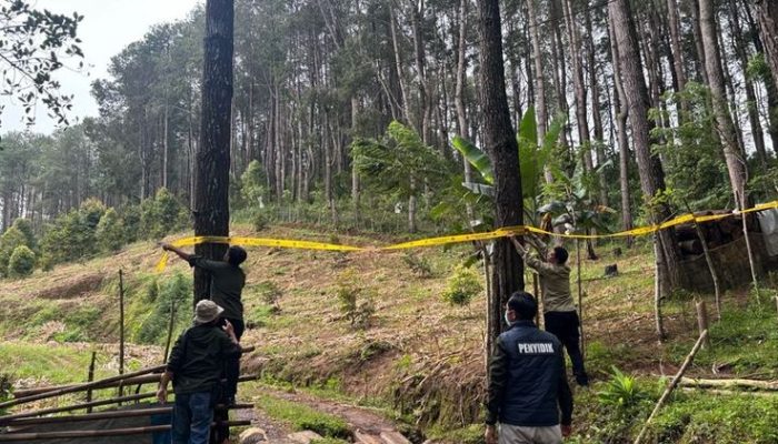 Ubah Hutan 1,3 Hektare untuk Peternakan ayam,Seorang Pengusaha di Bone Terancam 10 Tahun Penjara