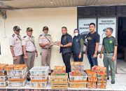 Petugas Gagalkan Pengiriman 807 Ekor Burung Tanpa Dokumen