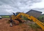 Kasus Dugaan Perambahan Hutan untuk Sawit di Ketapang Masuk Tahap Penyidikan