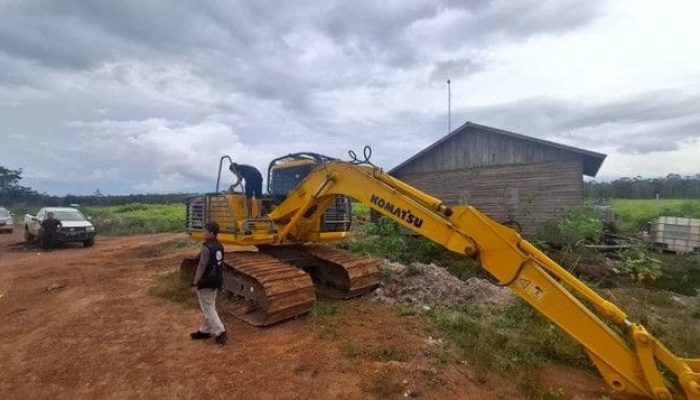 Kasus Dugaan Perambahan Hutan untuk Sawit di Ketapang Masuk Tahap Penyidikan