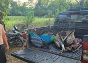 Polisi Sita Sembilan Motor dan Tiga Ayam Jago Saat Grebek Arena Sabung Ayam.