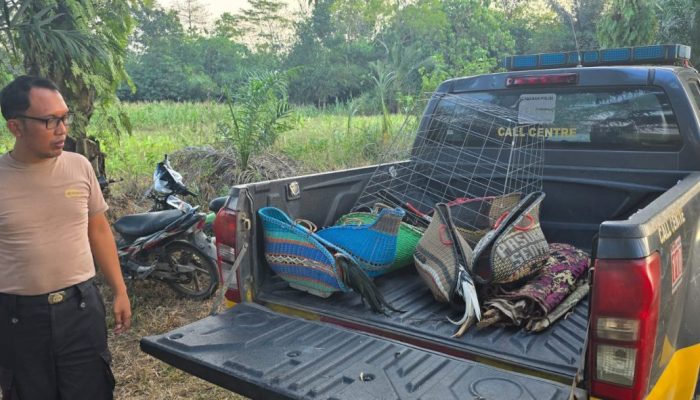 Polisi Sita Sembilan Motor dan Tiga Ayam Jago Saat Grebek Arena Sabung Ayam.