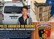 Polisi Amankan 98 Burung Tanpa Dokumen di Pelabuhan Bakauheni