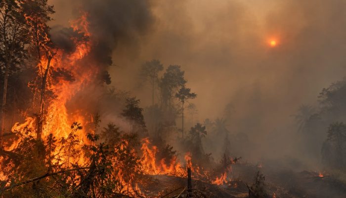 Pantun Duka Nestapa Rimba Jerebu