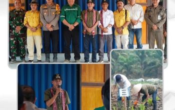 Wabup Ketapang Tanam Perdana Padi Sawah di Nanga Tayap, Dorong Optimalisasi Potensi Pertanian
