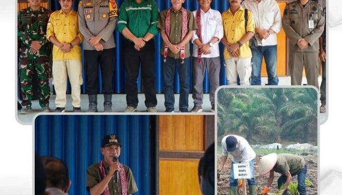 Wabup Ketapang Tanam Perdana Padi Sawah di Nanga Tayap, Dorong Optimalisasi Potensi Pertanian
